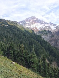 View of Mt. Hood